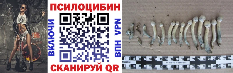 Галлюциногенные грибы мицелий  Иланский 